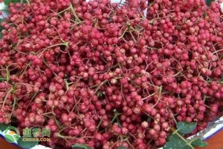 花椒叶面肥有哪些成分？