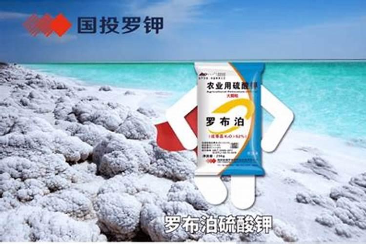 请问格尔木和罗布泊的钾肥哪个好