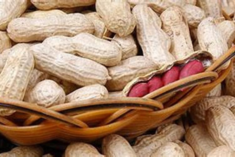 花生枯怎样发酵做肥料