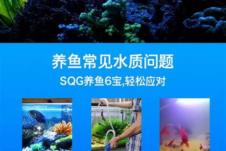 添加剂使用过量会对家里鱼缸养殖造成什么影响？