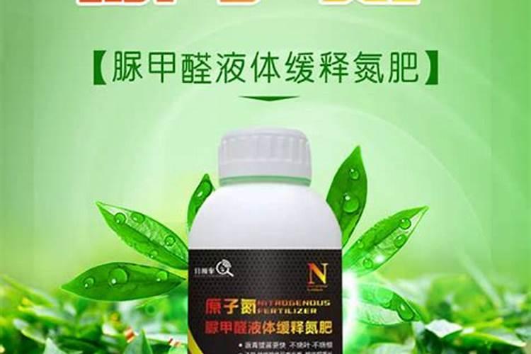 什么氮肥最快吸收甲醛？