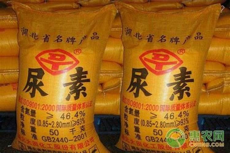 一百斤水兑多少尿素灌根