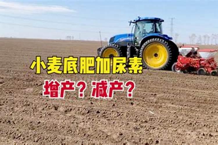 种萝卜用磷肥加尿素作底肥可以的是吗？