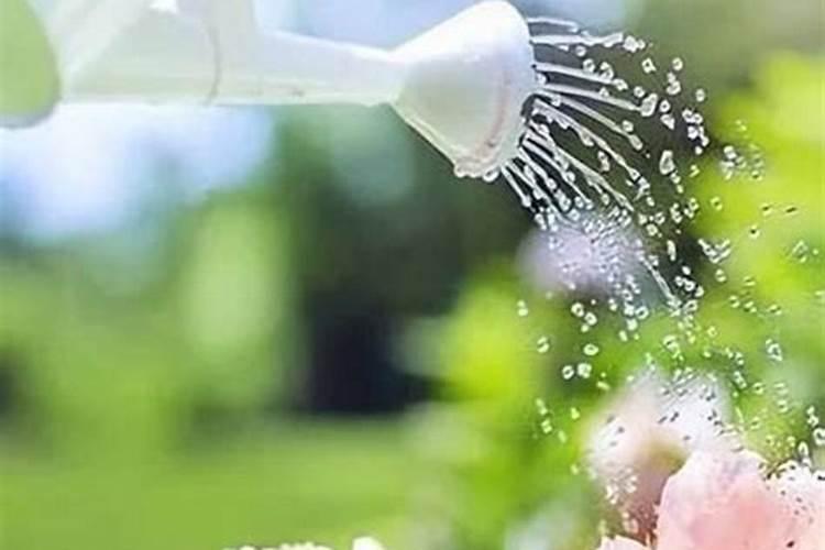氮钾肥用对水后浇花吗有影响吗？