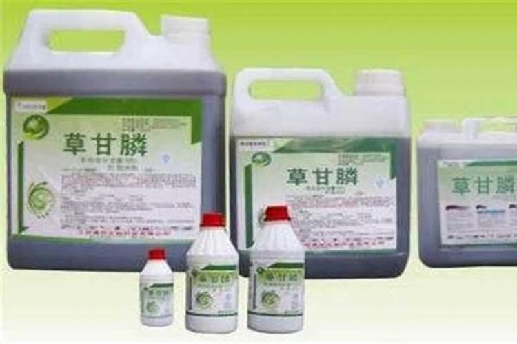草甘膦加入柴油或洗衣粉可以提高药效是真的么？