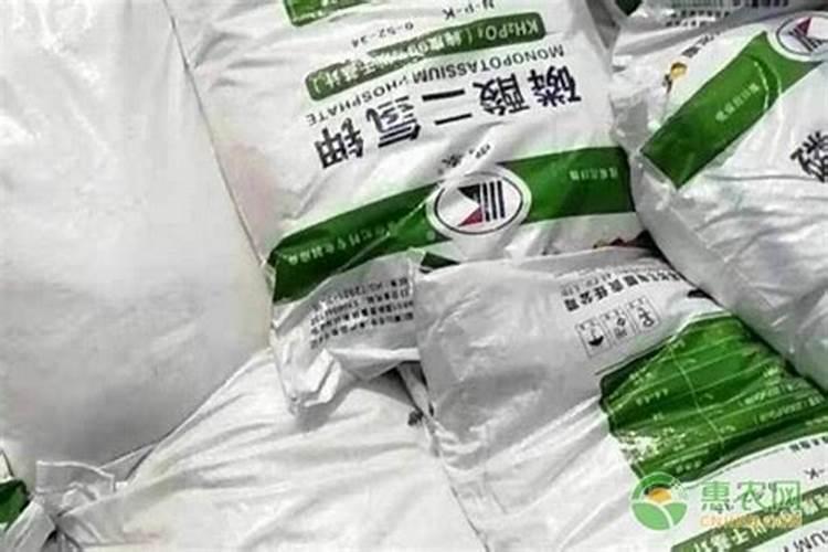 叶面肥磷酸二氢钾使用方法