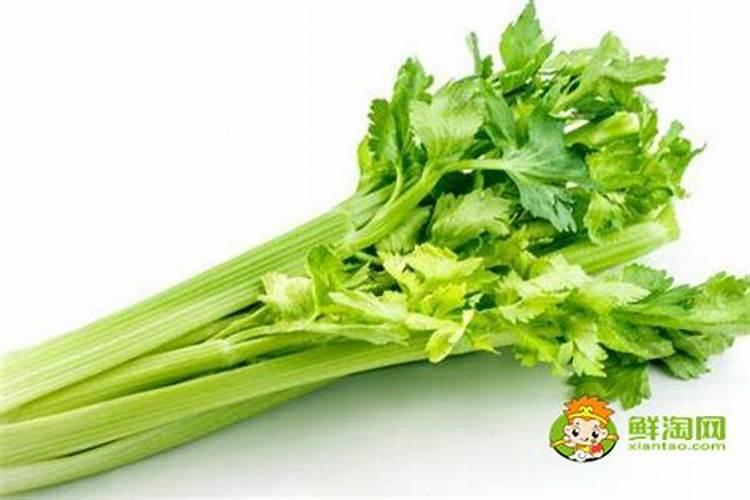 芹菜是什么季节的？
