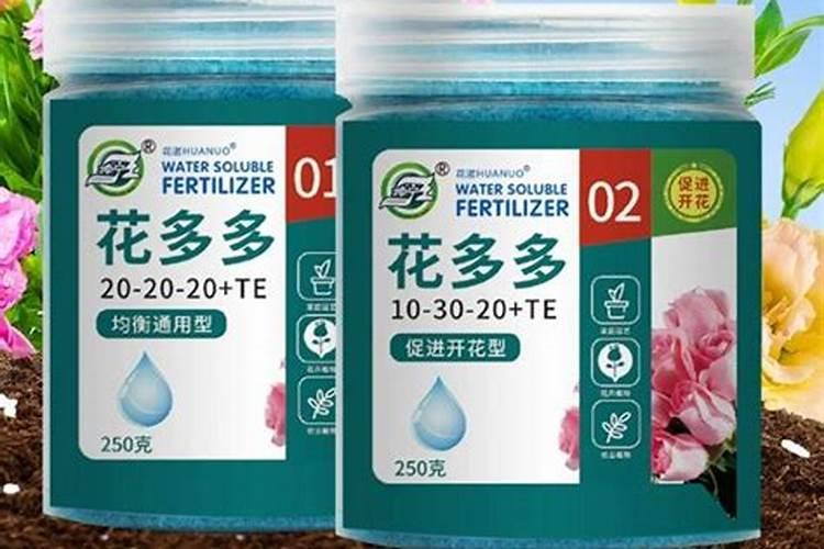 花草应该施什么肥最好？