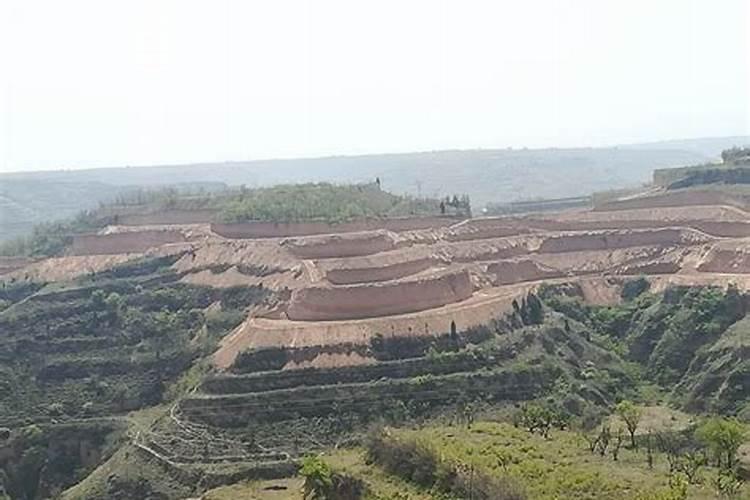 白水县腐殖酸厂在什么地方建？