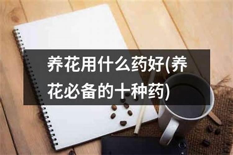 什么药养花好