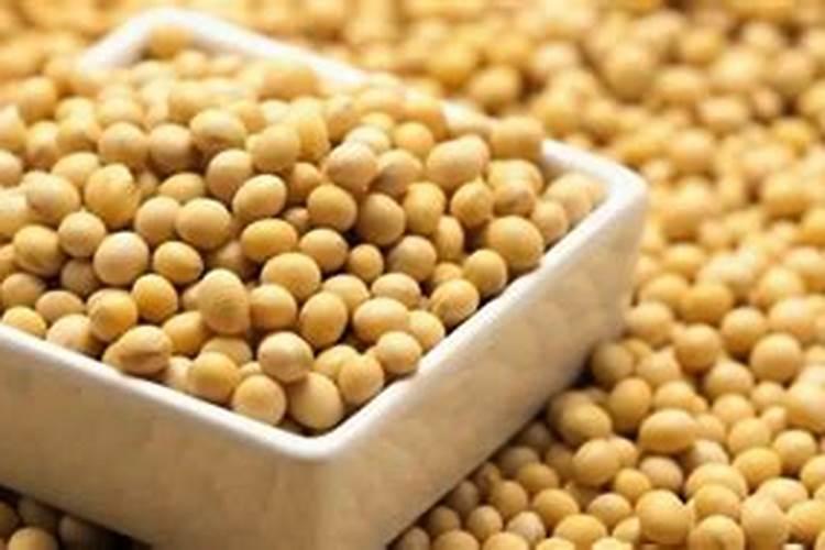 种大豆用多少肥,具体量。