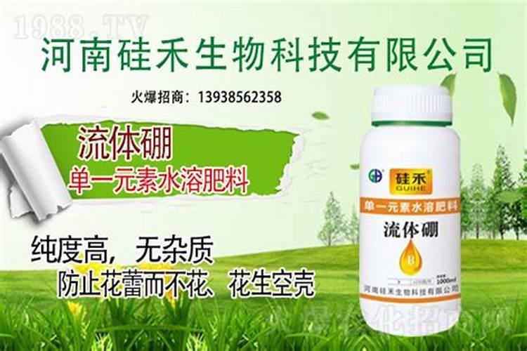 花生怎么用流体硼肥效果好？