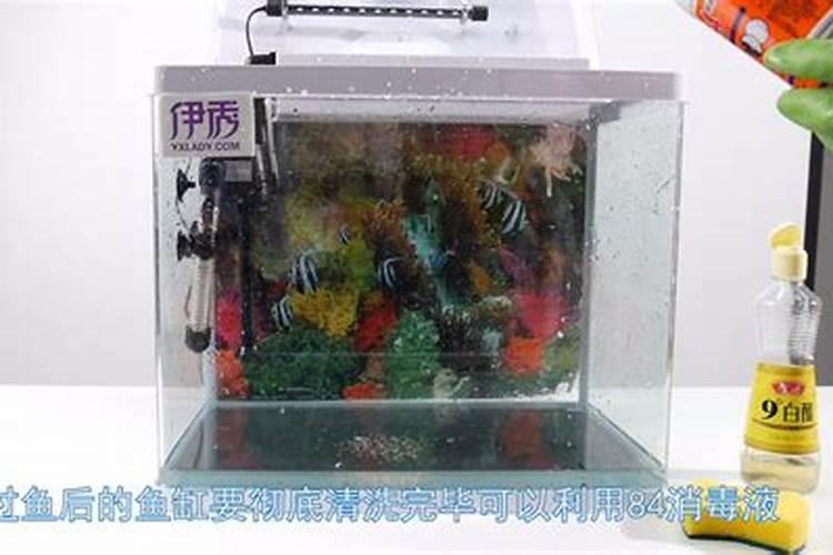 死过鱼的鱼缸要怎么消毒