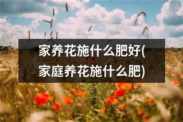 木本花施什么肥？