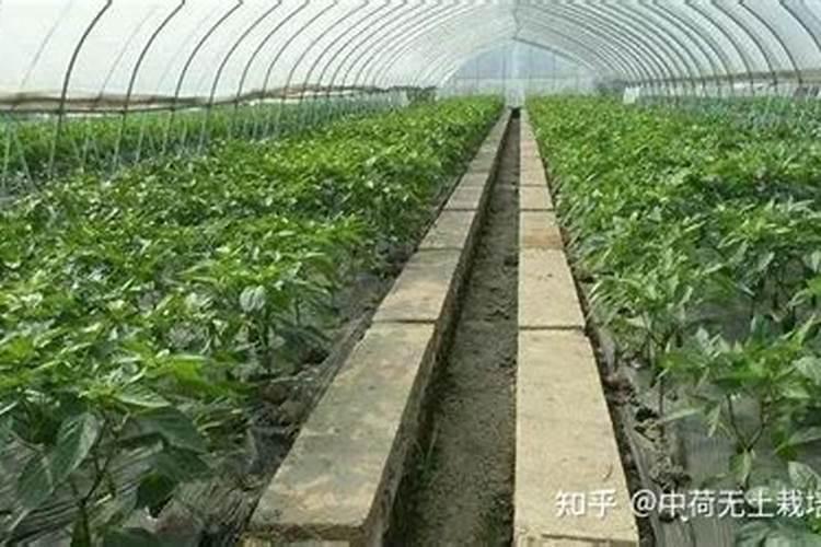 水溶肥1吨相差几千克怎么算的？