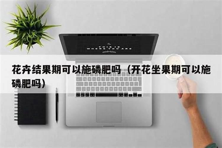 多施磷肥会促进脂肪生成吗为什么？