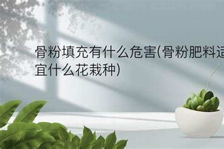 骨粉肥料适宜什么花栽种