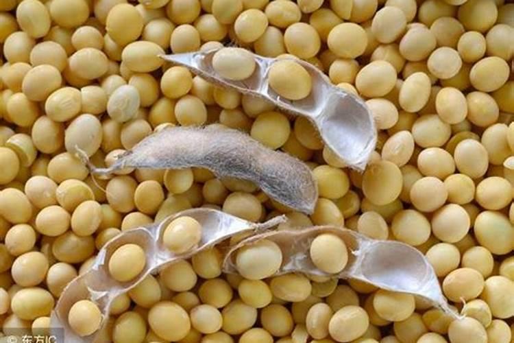 大豆追肥的最佳时期,施什么肥好