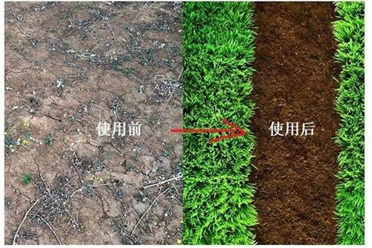 土壤调理剂的功能与使用