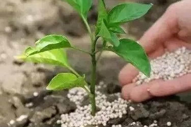 控释肥溶解快的好还是慢的好