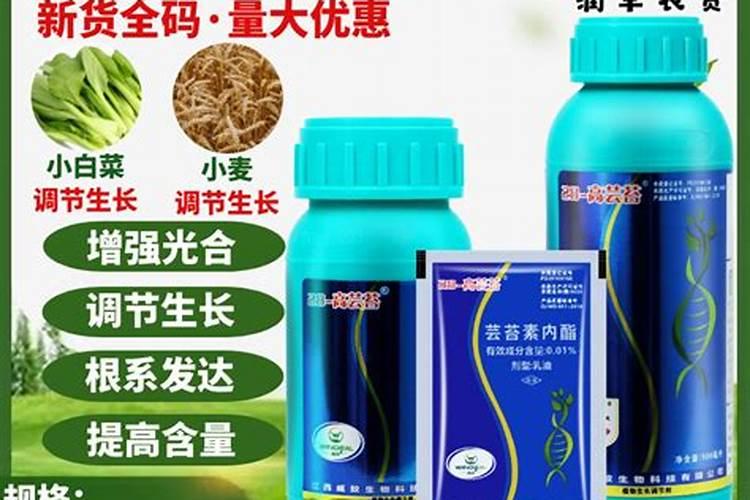 小麦芸苔素什么时候打增产剂好？