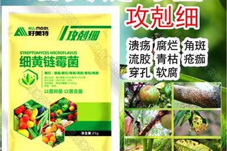 细黄链霉菌、生根剂、叶面肥可以混合在一起喷雾吗？