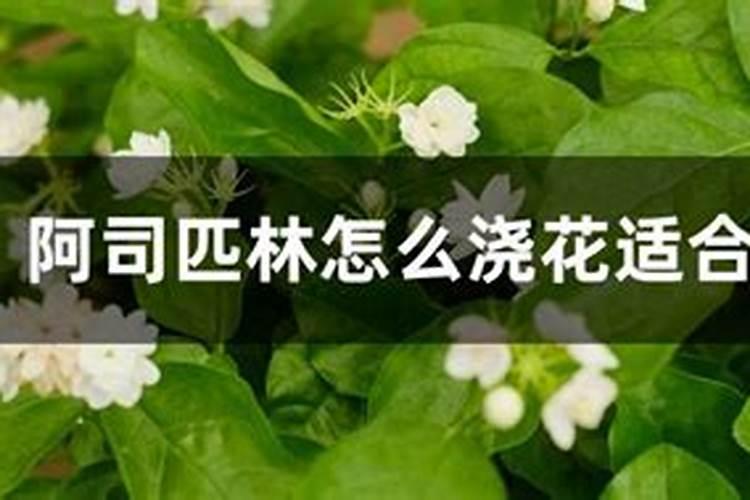 25mg阿司匹林怎么浇花