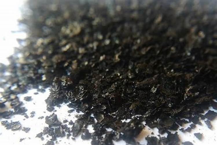 罗汉果开花期可用海藻精作叶面肥吗