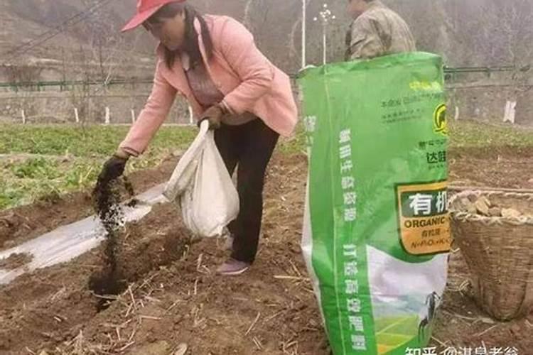 如何正确施用钾肥？