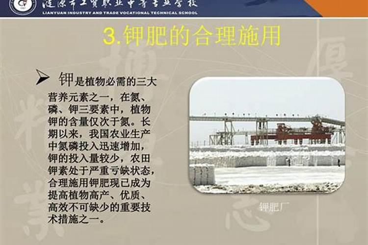 钾肥的合理施用技术