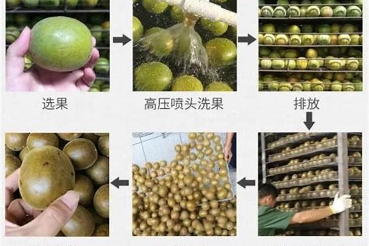 罗汉果怎样施钾肥最好用？