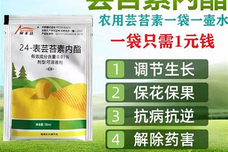 大田小麦用哪种芸苔素比较好？