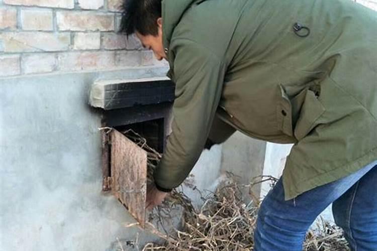 炕洞灰会烧树根吗？我栽果树用炕洞灰做底肥,会烧根吗？