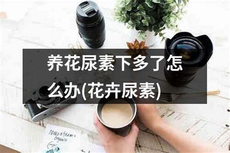 槟榔淋尿素多了怎么办