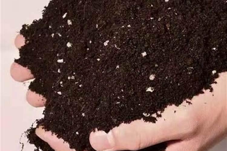 磷肥厂用过的土可以种花吗？