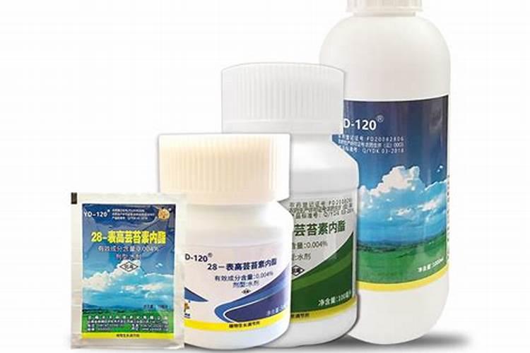 小麦长势不太好,用云大YD120芸苔素有效果吗？