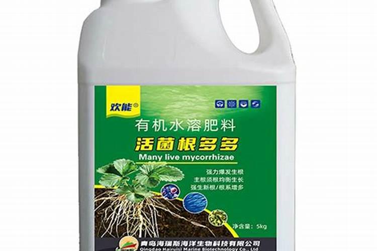 欢能水溶肥可以直接埋土使用吗？