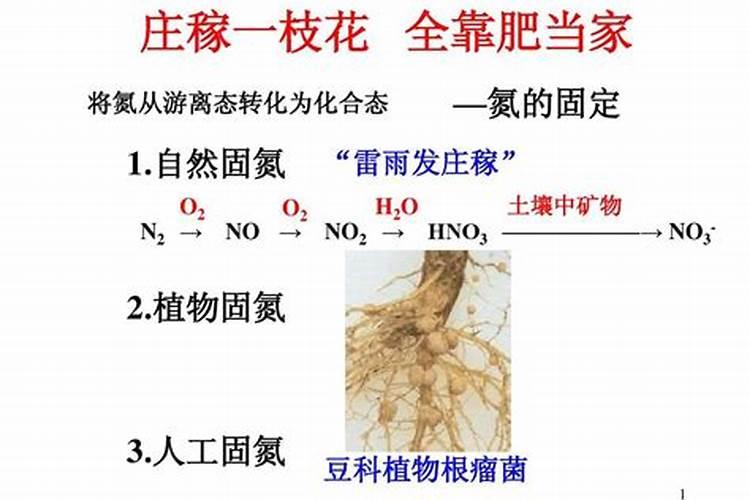 各种氮肥的生产原理,方程式