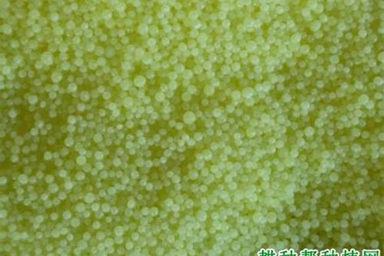 多肽氮肥与多肽尿素的区别