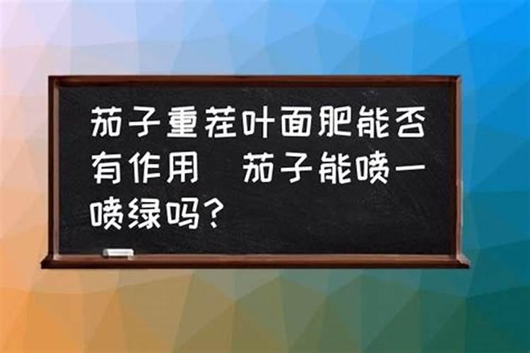红糖能喷茄子叶面肥吗怎么喷？