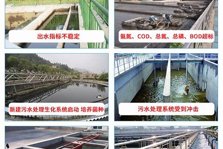快速去除氨氮废水