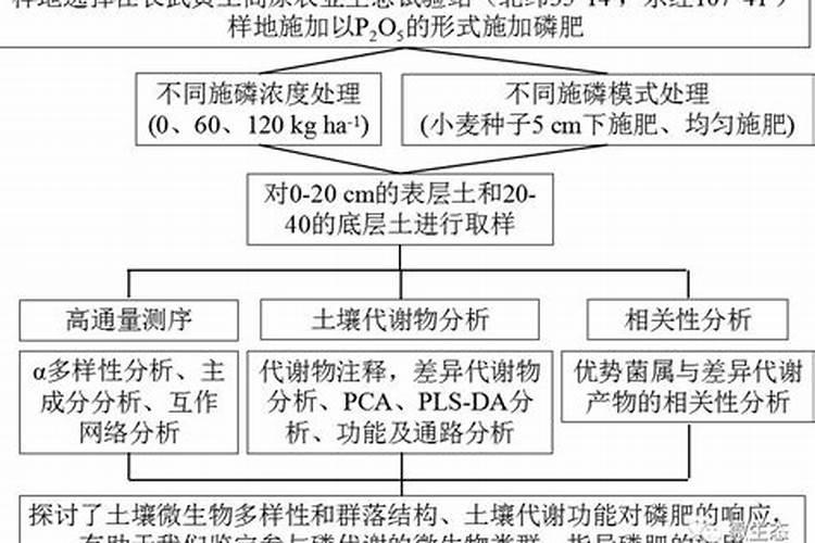 加氮肥和磷肥的原因分析