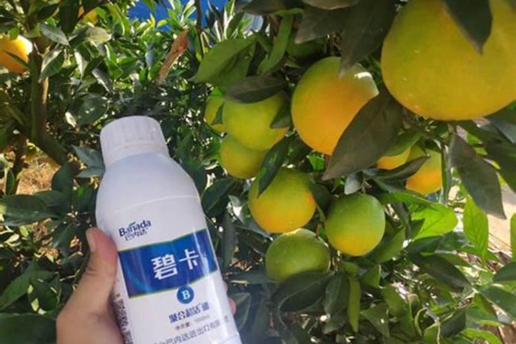 脐橙用颗粒硼肥可以吗怎么用？