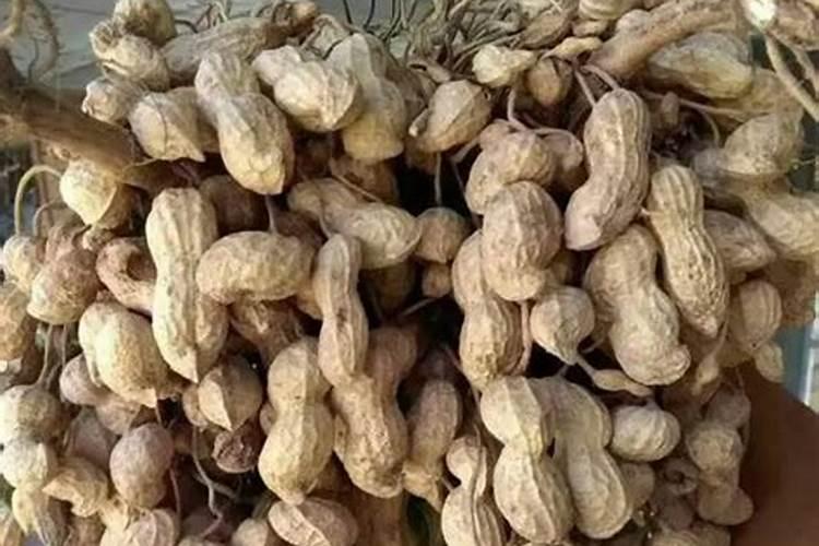种花生用什么肥料