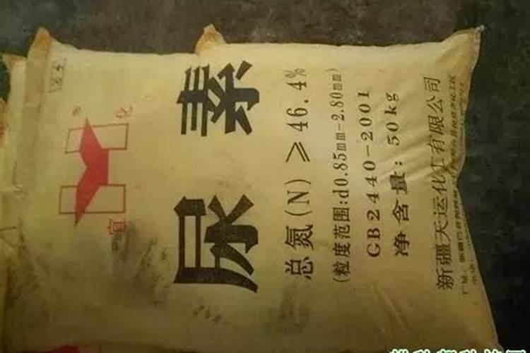 葡萄喜欢高氮肥的原因有哪些呢？