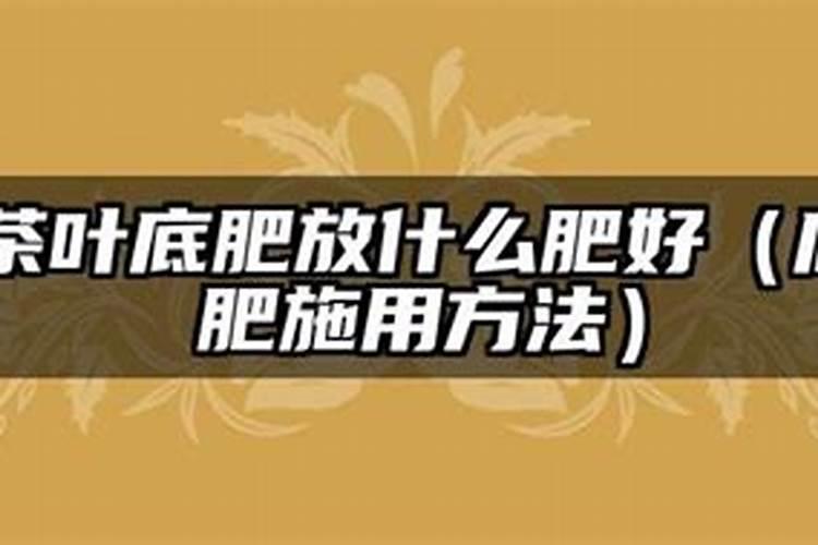 茶叶底肥放什么肥好(底肥施用方法)