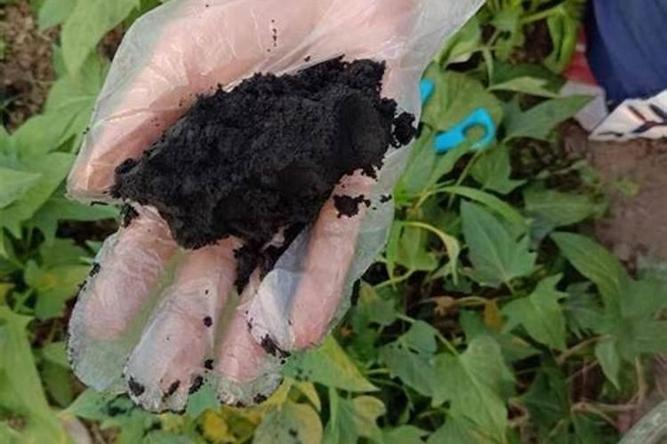 塑料费品烧灰可以种菜吗我家是开家具厂的那些木板的封边条是塑料制的...