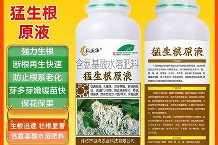 生根壮苗剂使用方法