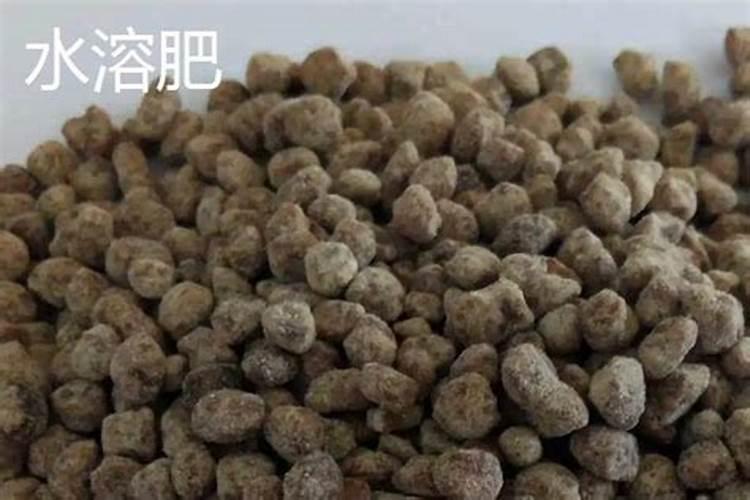 如何辨别尿素和水溶肥的区别呢？