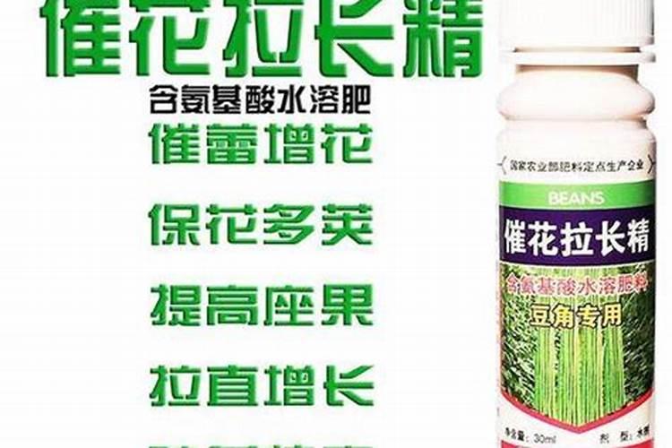 芸豆叶面浅绿,用什么叶面肥？